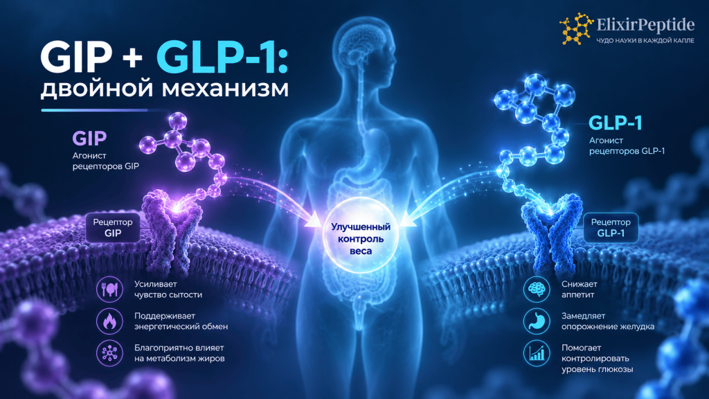 Агонист рецепторов GIP и GLP-1.png Агонист рецепторов GIP и GLP-1.png